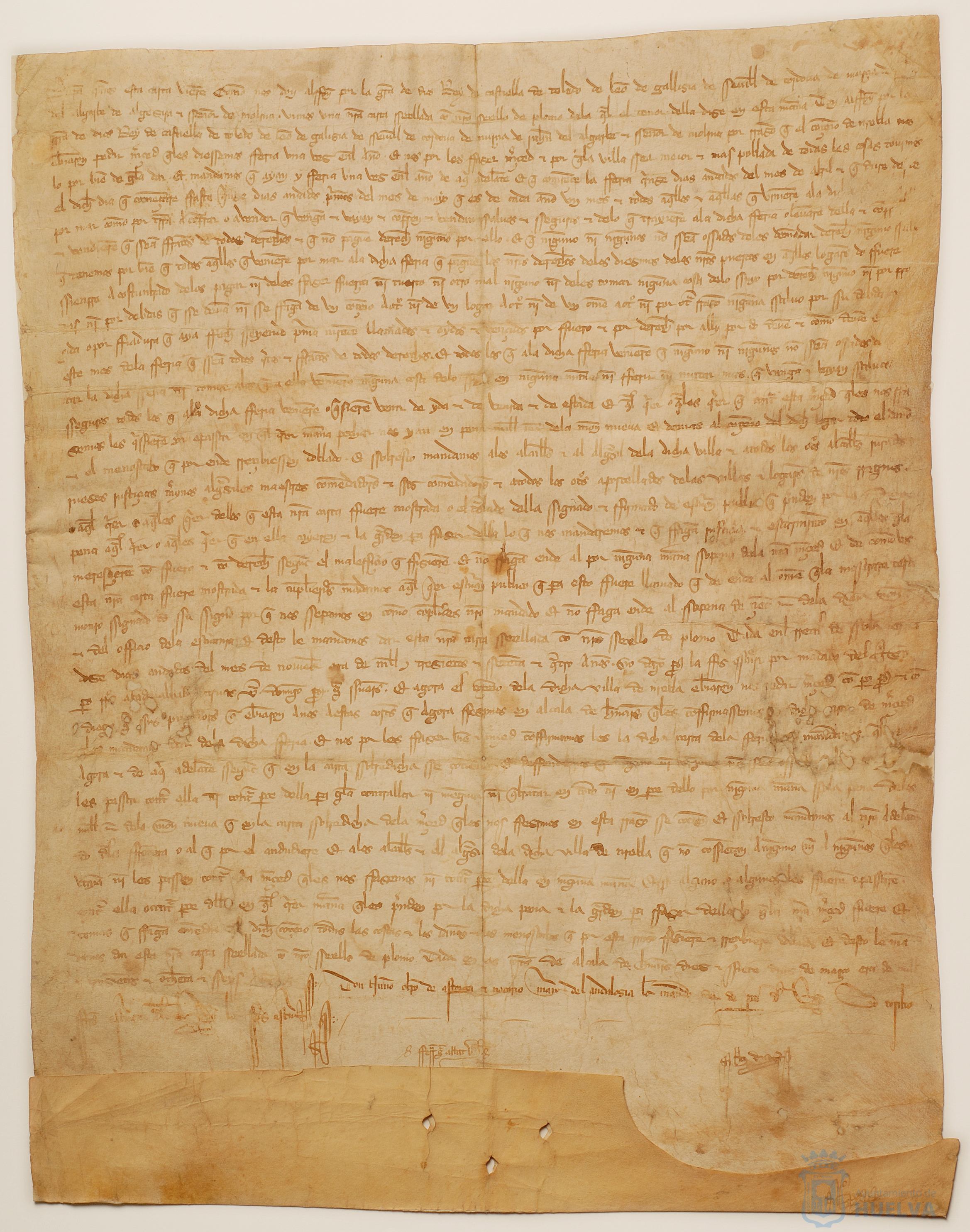 * Image 7