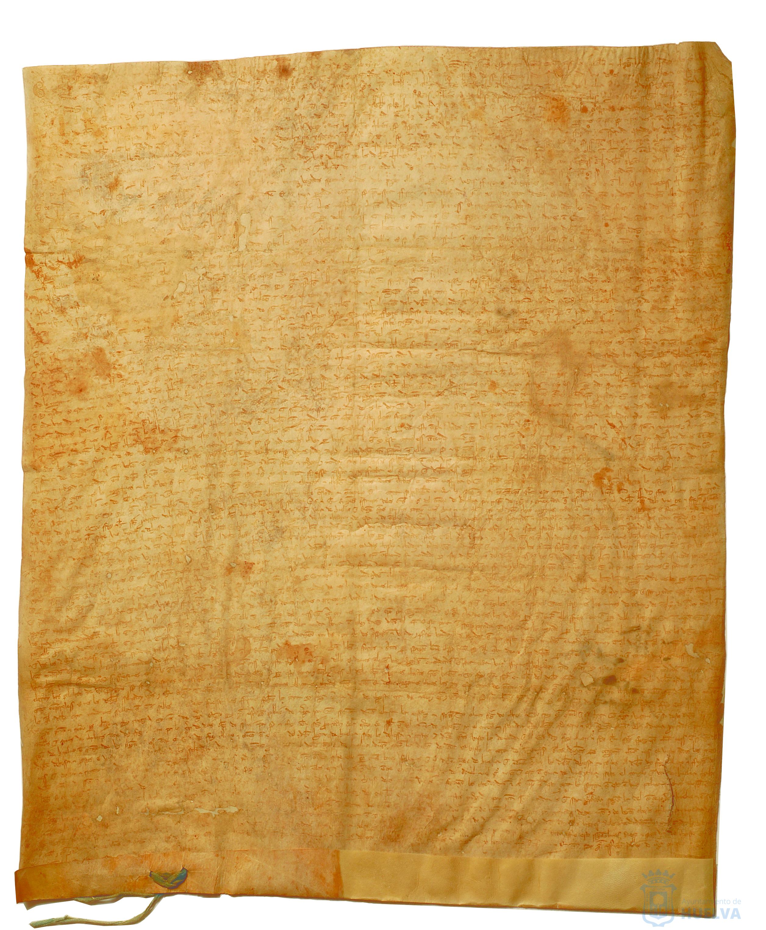 * Image 8