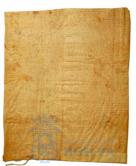 * Image 8