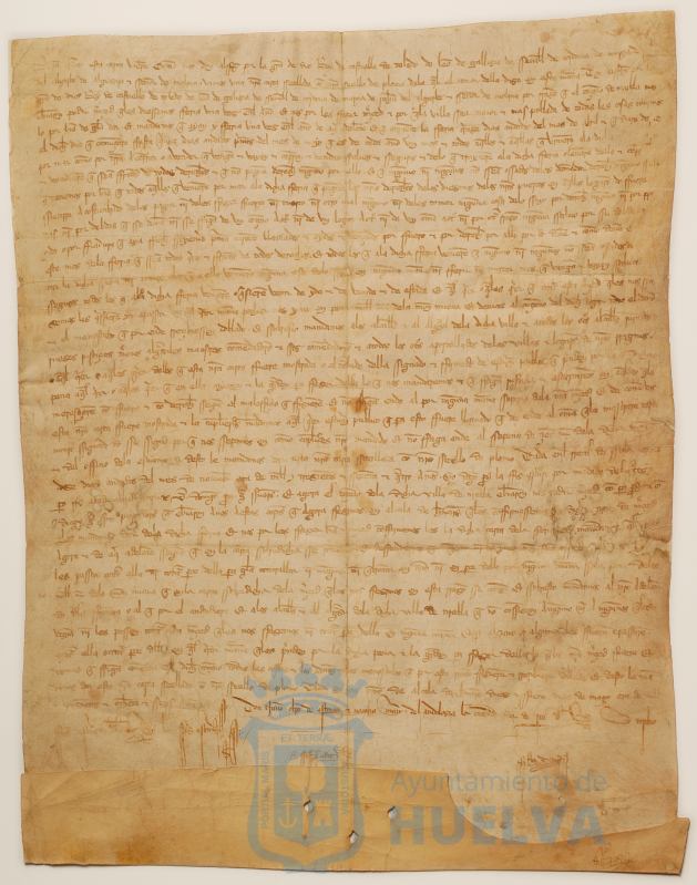 * Image 7