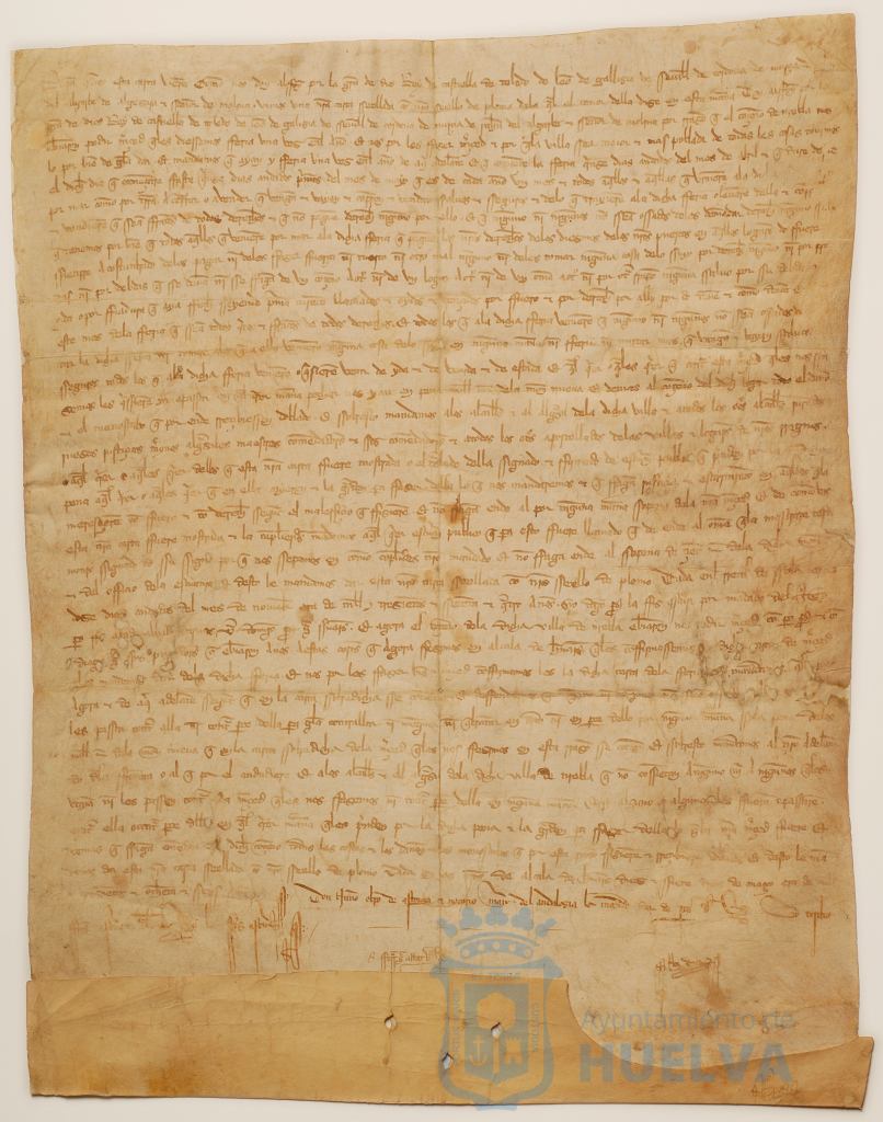 * Image 7