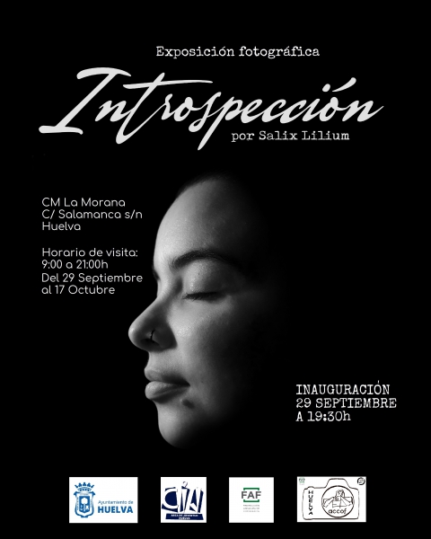 Introspección