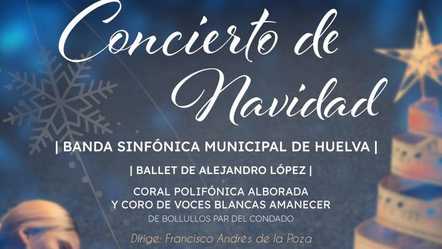 concierto de navidad 