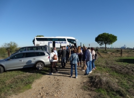 Visita Isla Saltés 33