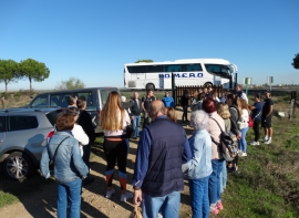 Visita Isla Saltés 34
