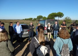 Visita Isla Saltés 35