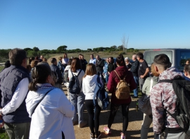 Visita Isla Saltés 40