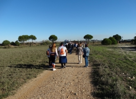 Visita Isla Saltés 41