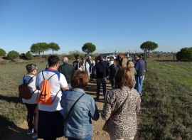 Visita Isla Saltés 42