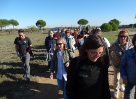 Visita Isla Saltés 50