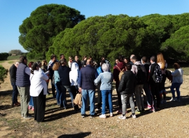 Visita Isla Saltés 57