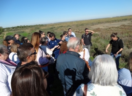 Visita Isla Saltés 64