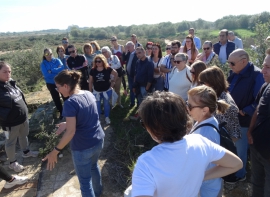 Visita Isla Saltés 73