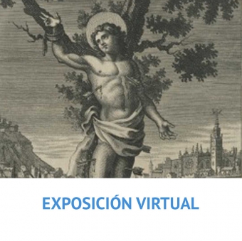 exposición patrón 