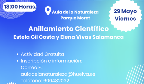 Teaser Anillamiento
