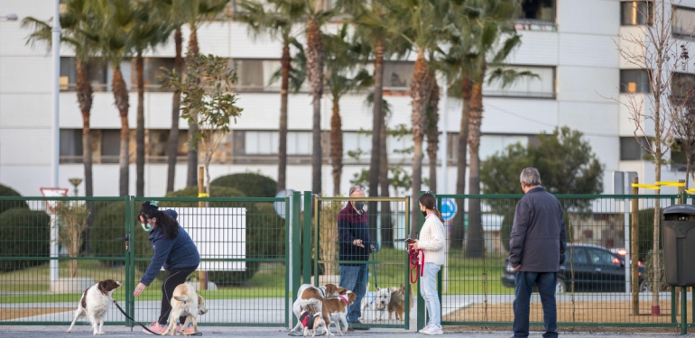 Área canina Pescadería