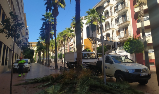 Campaña poda