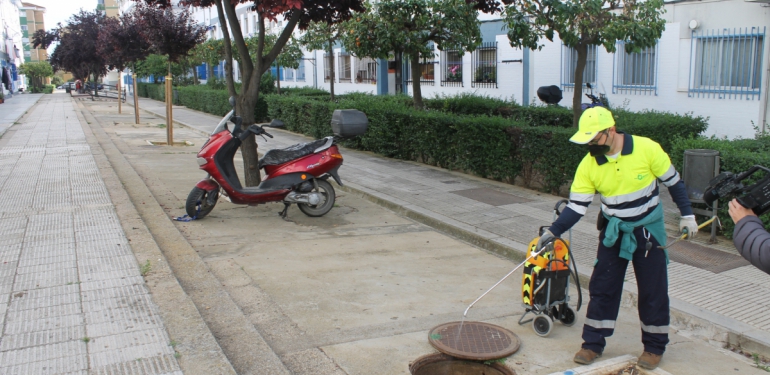 desinsectación preventiva