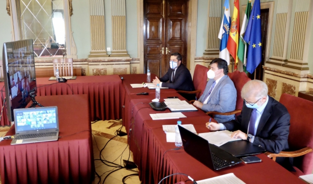 Pleno telemático