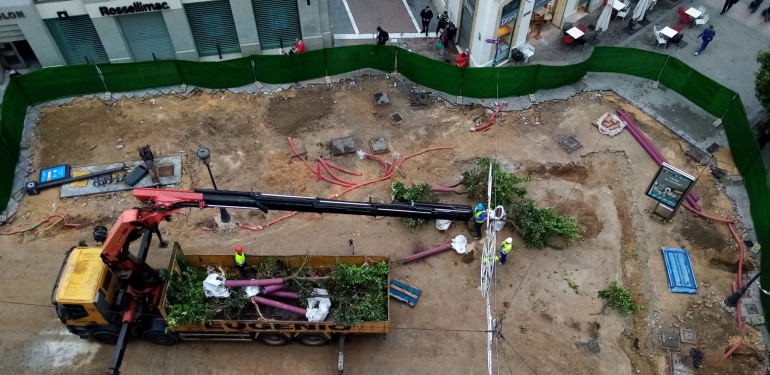 Arboleda Obras