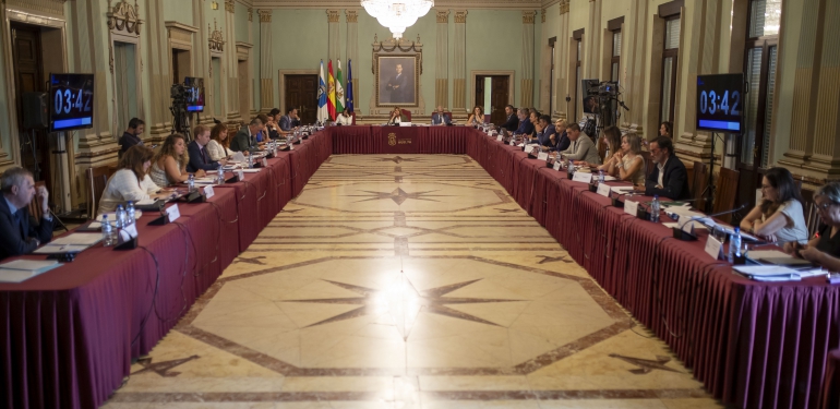 Pleno Julio 2024