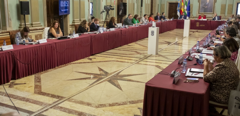 Pleno Septiembre 2024