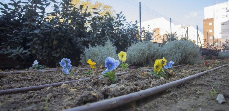 Jardín de la Memoria del colegio Giner de los Ríos