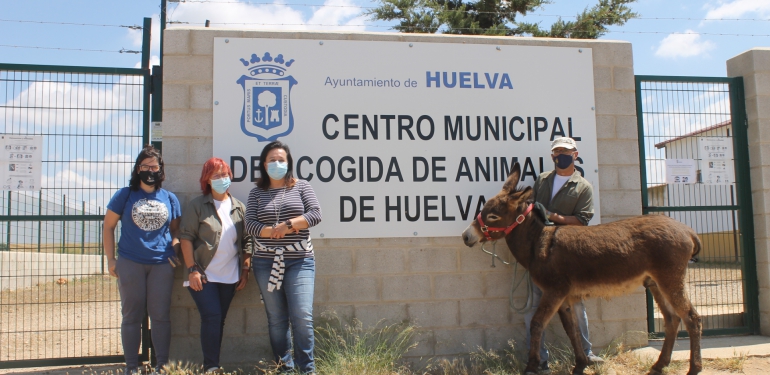 Galileo El burrito feliz