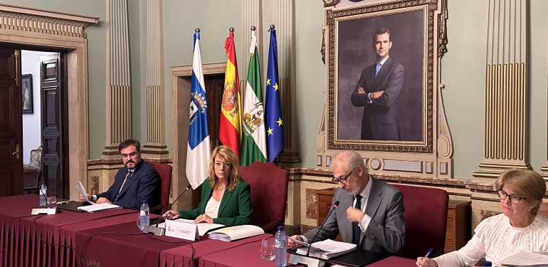 Pleno Octubre 2024