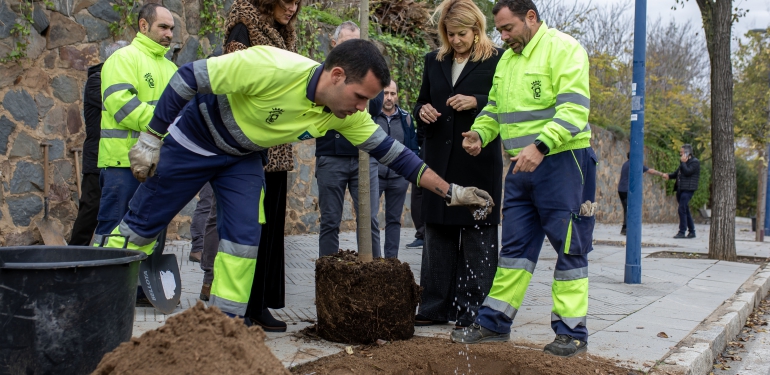 5.12.23 Fotos Ayto Huelva (Plantación Arboles )