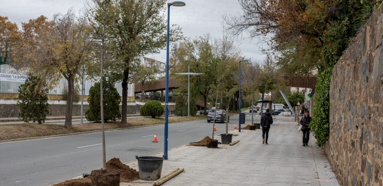 5.12.23 Fotos Ayto Huelva (Plantación Arboles )