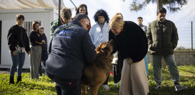 El Ayuntamiento bate un récord de adopciones en el Centro Municipal de Animales