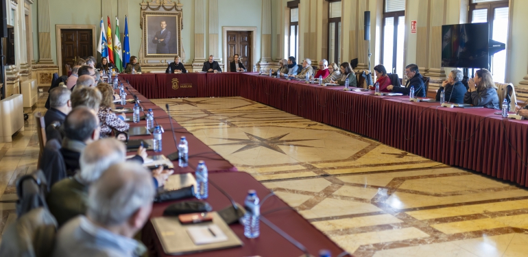 consejo local personas mayores