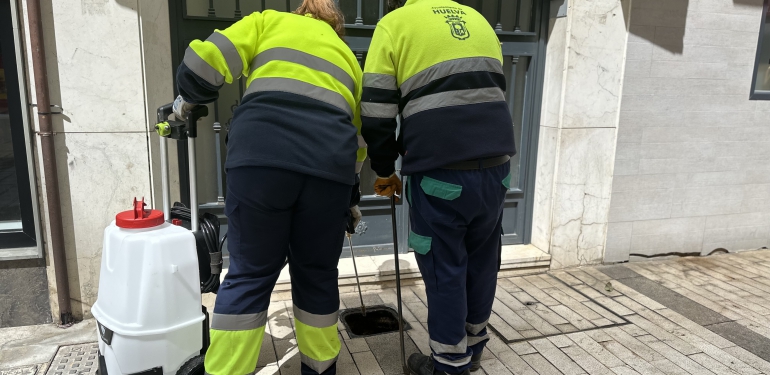 control plagas huelva