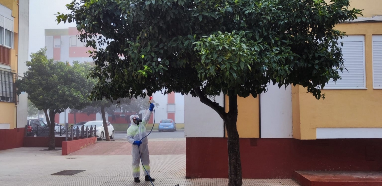fumigación naranjos 