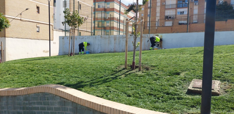 El Ayuntamiento de Huelva cuenta con un equipo permanente y diario dedicado de manera específica a la eliminación de pintadas