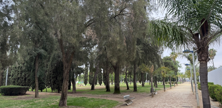 plan parque zafra
