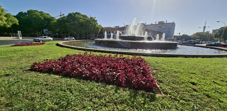 plantación invierno huelva
