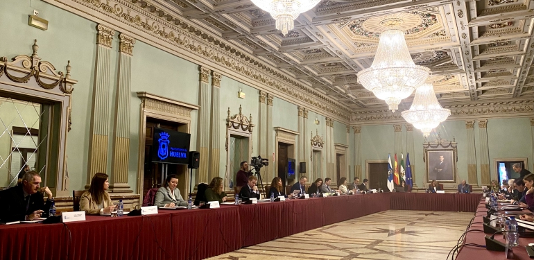 Pleno Enero 2024