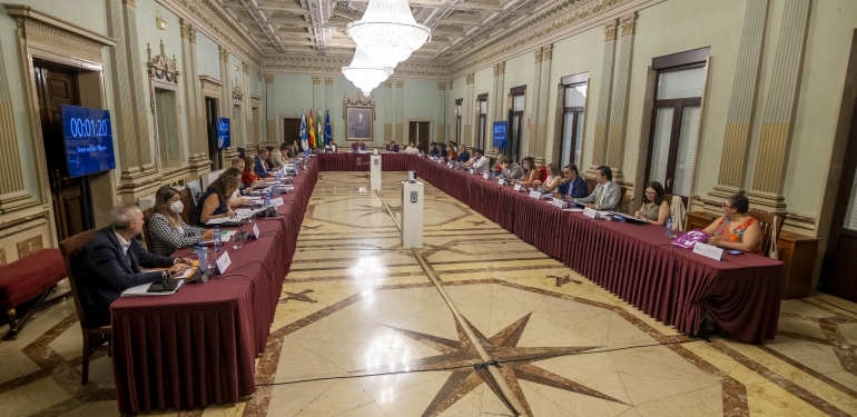 Pleno Julio 2025