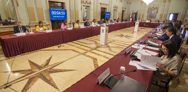 Pleno Junio 2025