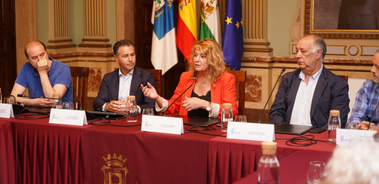 proyecto Isla Chica