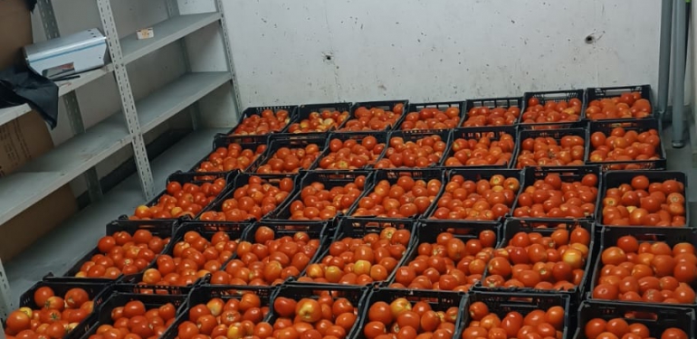 Tomates