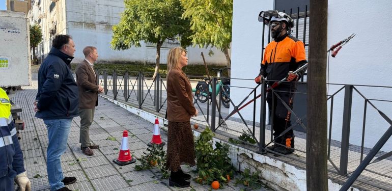 trabajos poda naranjos