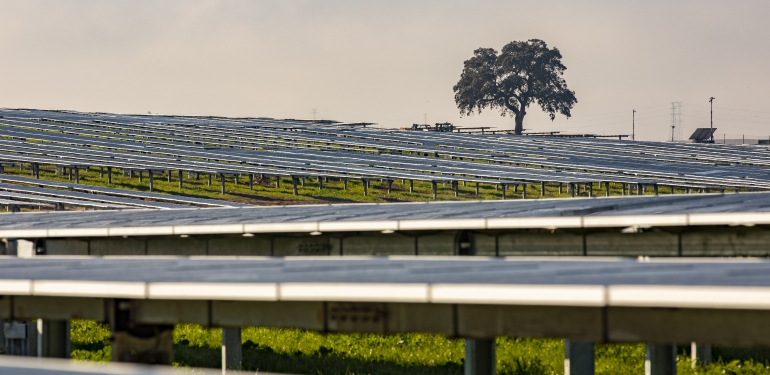 Visita Plan Alter Enersun Enero 2021