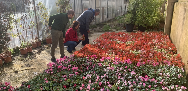 vivero