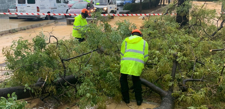 Los servicios municipales atienden más de 60 incidencias por el temporal durante la jornada