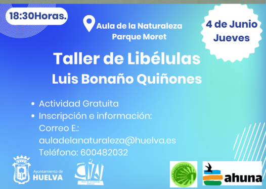 Taller de libélulas