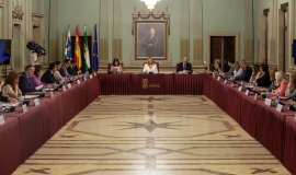 Plenos ayuntamiento Huelva 