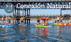 paddlesurf